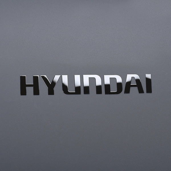 Insignia galvanizada 3D