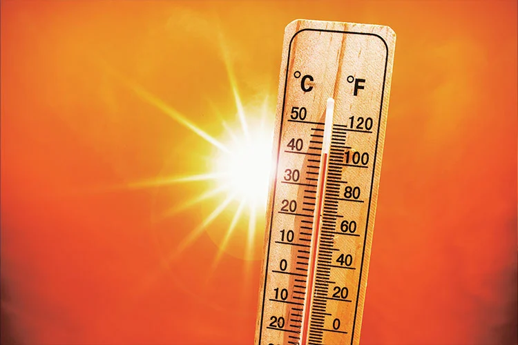 Alta y baja temperatura resistente y otros entornos especiales