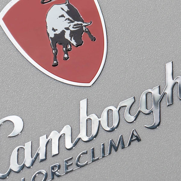 Logotipo resistente al calor de níquel brillante